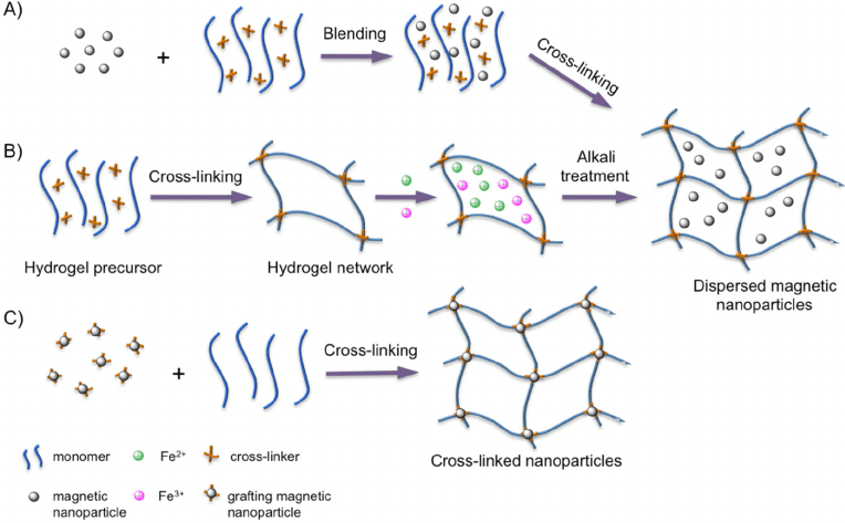 8 Things to Know About NMECS and MCS Gels